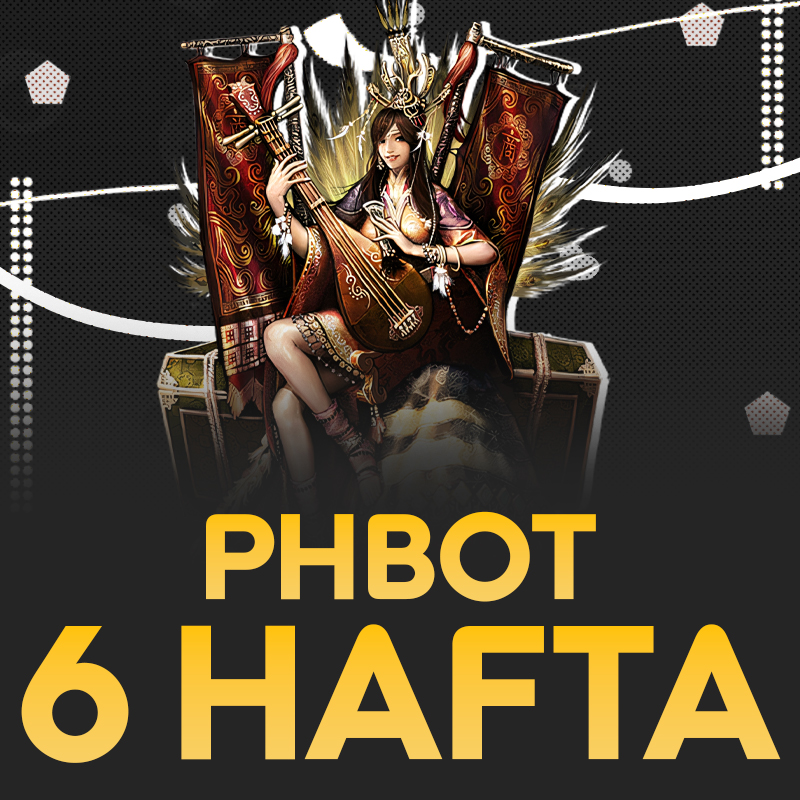 Silkroad Online phBot 6 Hafta